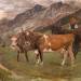 Cattle in the Italian Alps